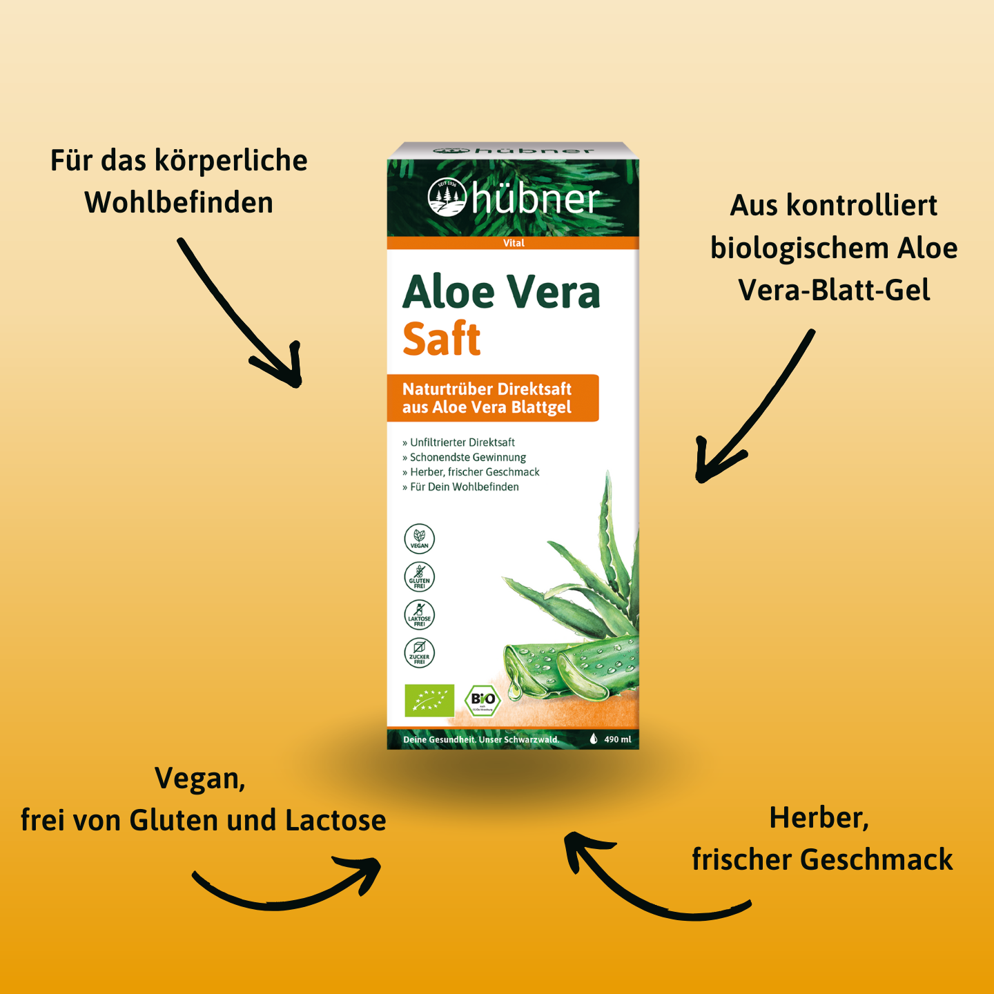 Eine Schachtel Hübner Aloe Vera Saft mit hervorgehobenen Vorteilen auf gelbem Hintergrund und schwarzen Pfeilen, die auf das Produkt zeigen.