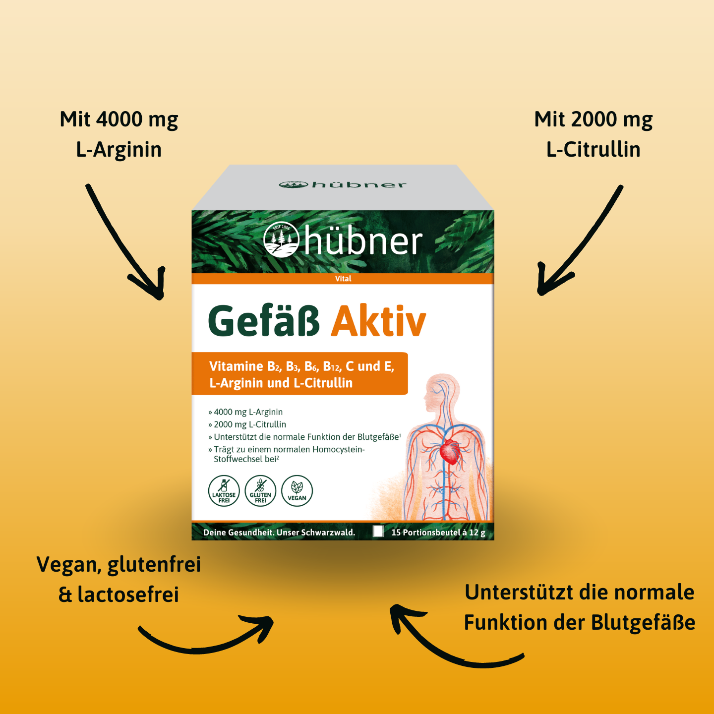 Schachtel mit dem Nahrungsergänzungsmittel Gefäß Aktiv mit Text auf gelbem Hintergrund mit Pfeilen, der seine Vorteile, Inhaltsstoffe und Eigenschaften hervorhebt.